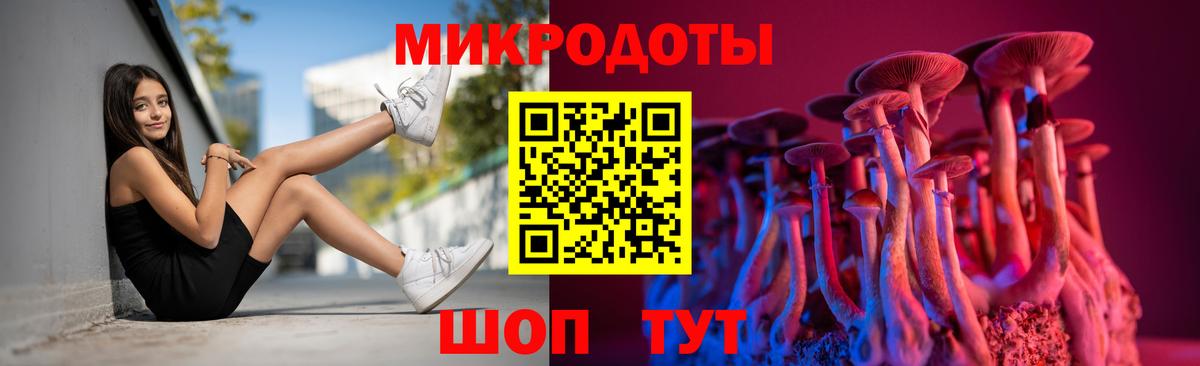 Псилоцибиновые грибы Psilocybine cubensis Ленинск-Кузнецкий